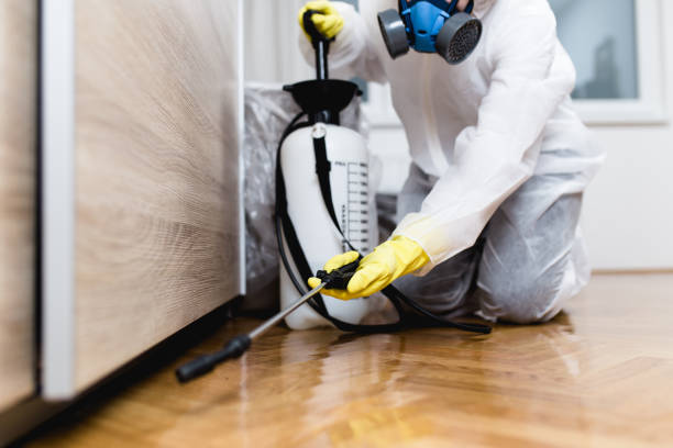 Best Wasp Removal Services  in Saco, ME
