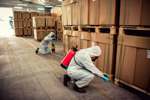 Best Flea Control Services  in Saco, ME