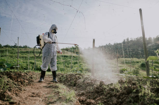 Best Ant Control Services  in Saco, ME