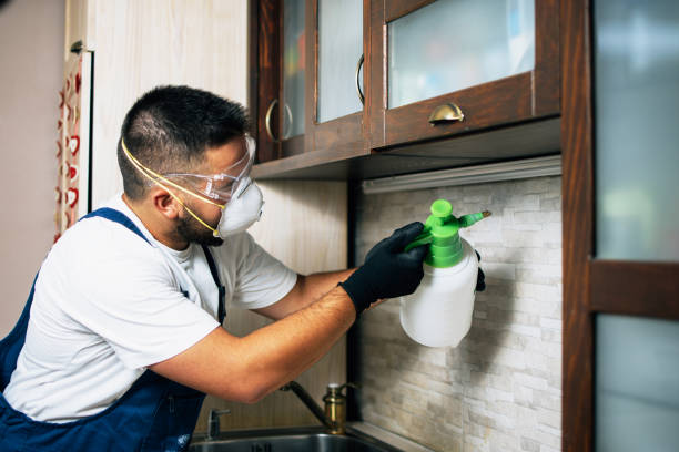 Pest Prevention Services in Saco, ME