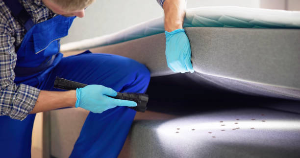 Best Pest Removal Services  in Saco, ME