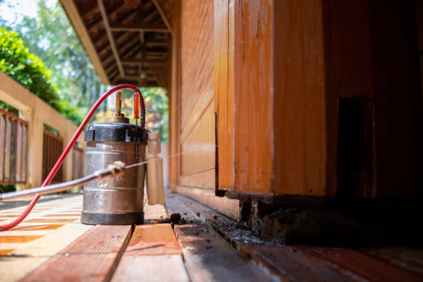 Best Termite Control Services  in Saco, ME