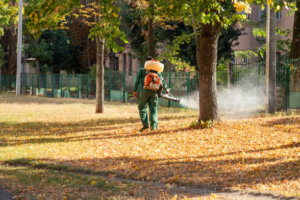 Best Exterminator Services  in Saco, ME