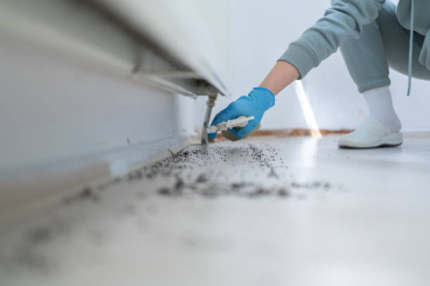 Best Best Pest Control Companies  in Saco, ME